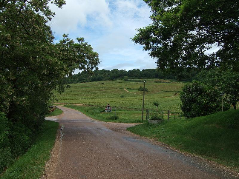 2010-05- (34).JPG